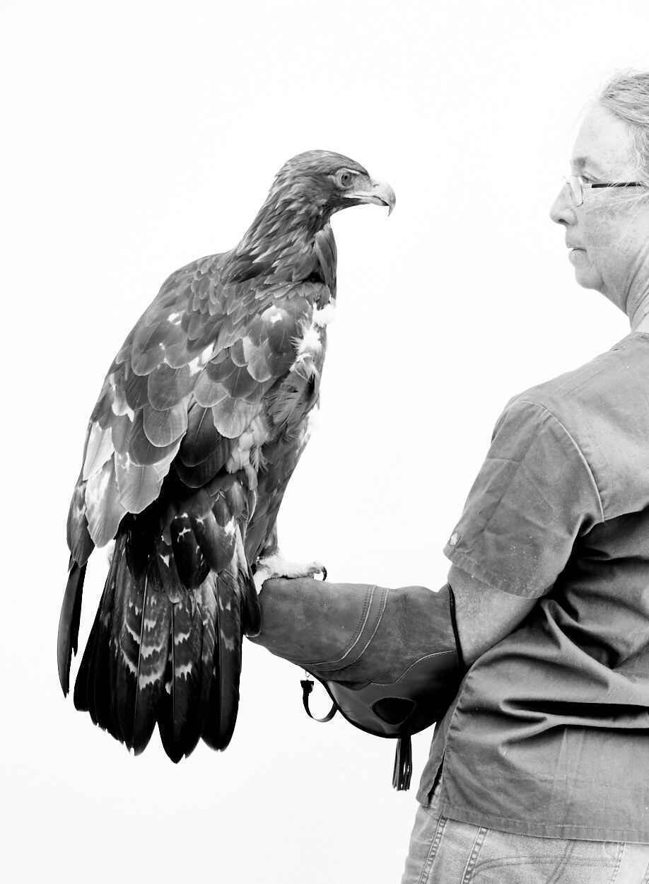 Invest in the Future of Wildlife image