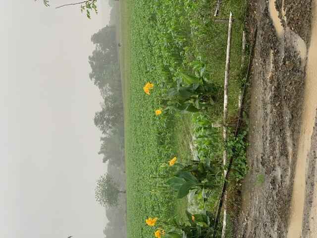 2025 End of Year Giving! image