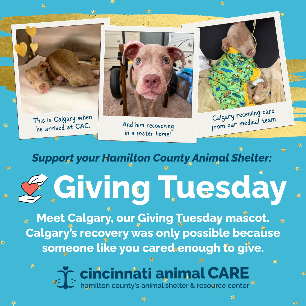 Calgary’s Story: From Milk Crate to Miracle image