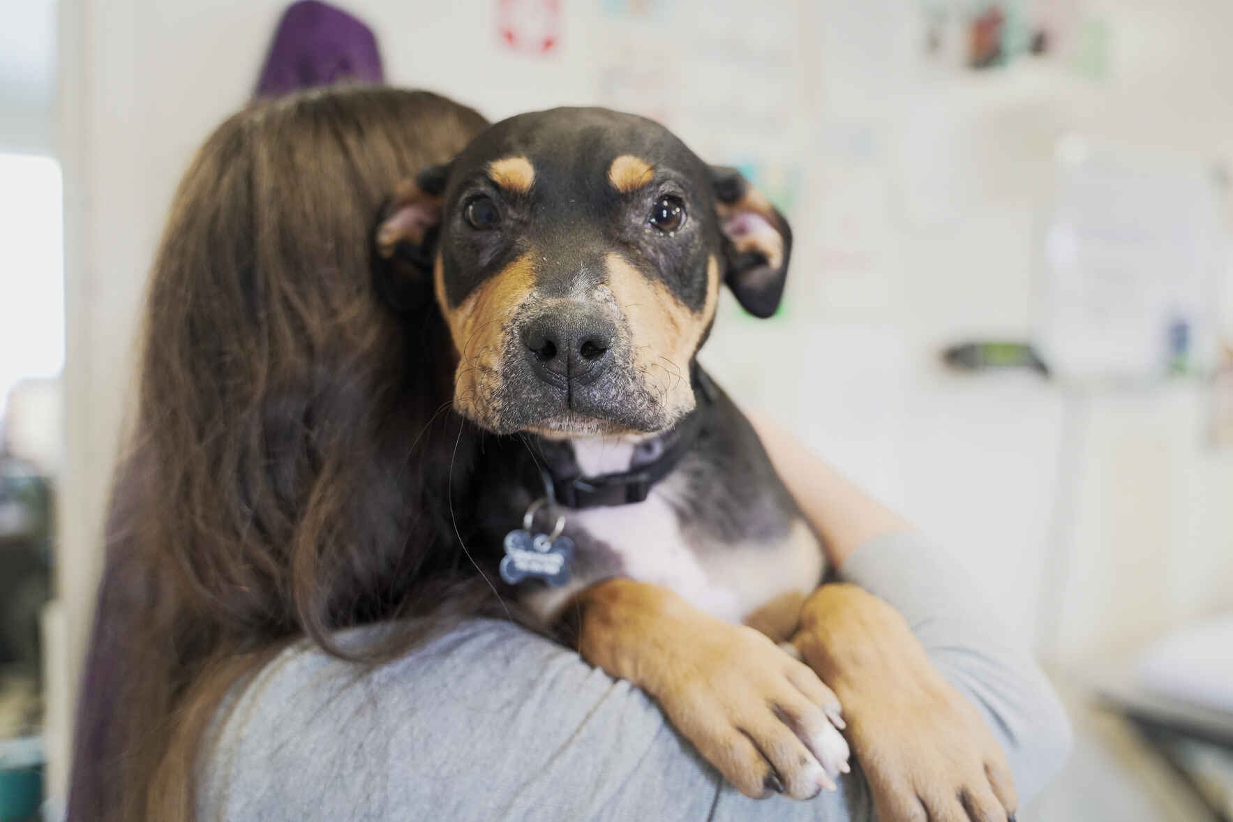Help Save Lives on Giving Tuesday  image