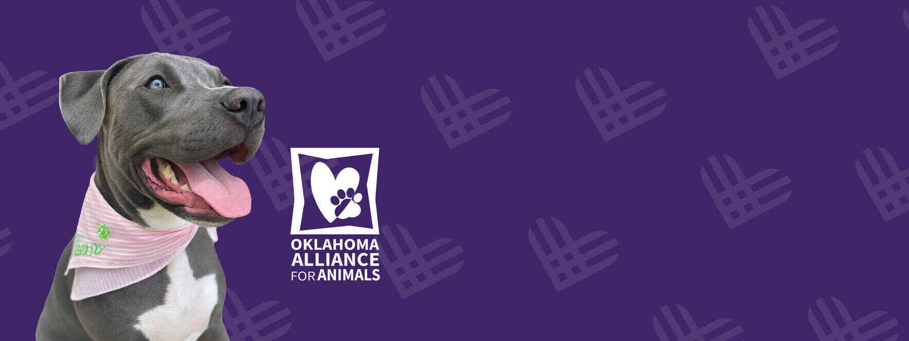 Help Us Make Meaningful Change for Pets & People This #GivingTuesday! image