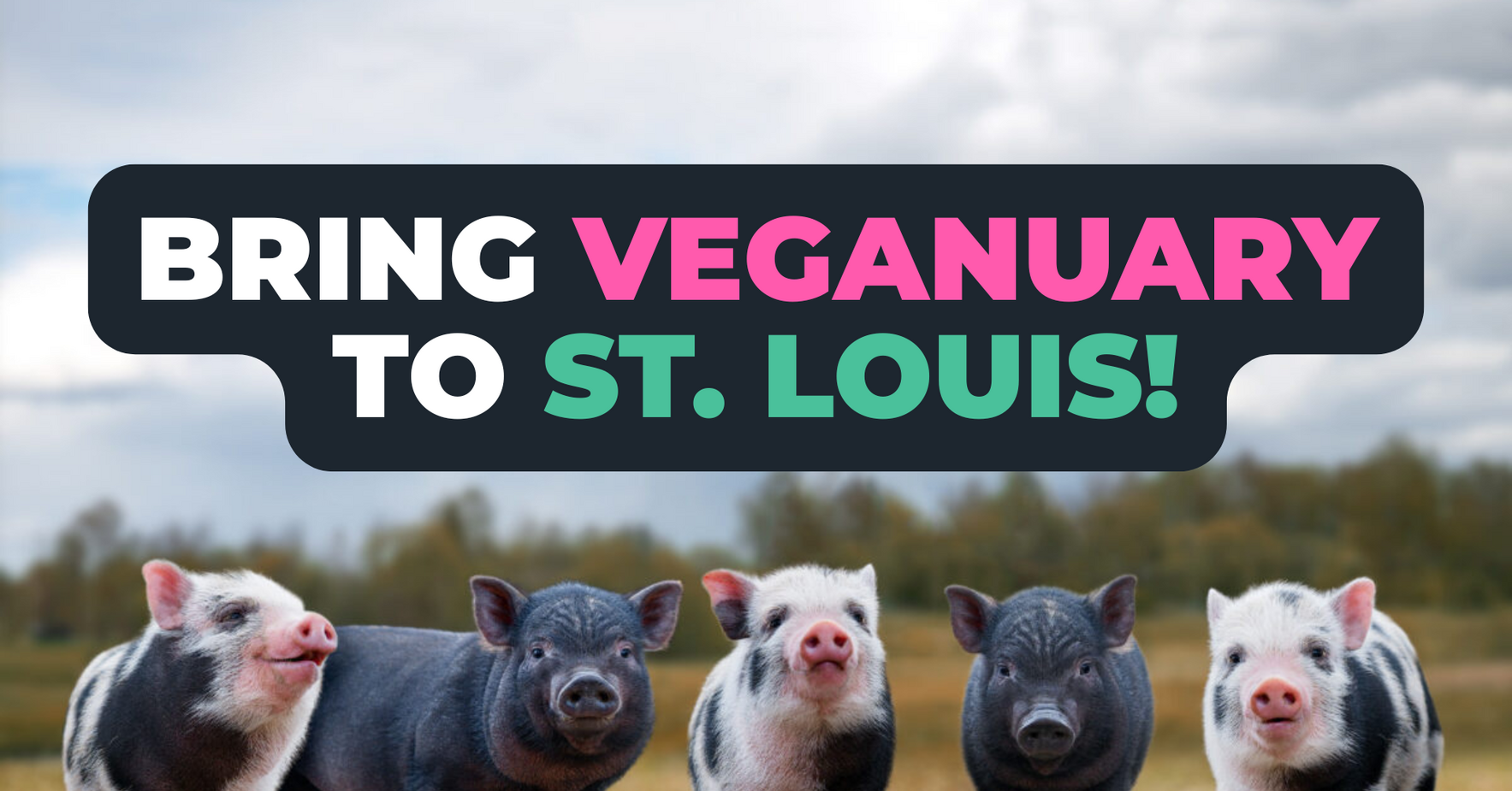 Help us bring Veganuary to St. Louis to create hundreds of new vegans! image