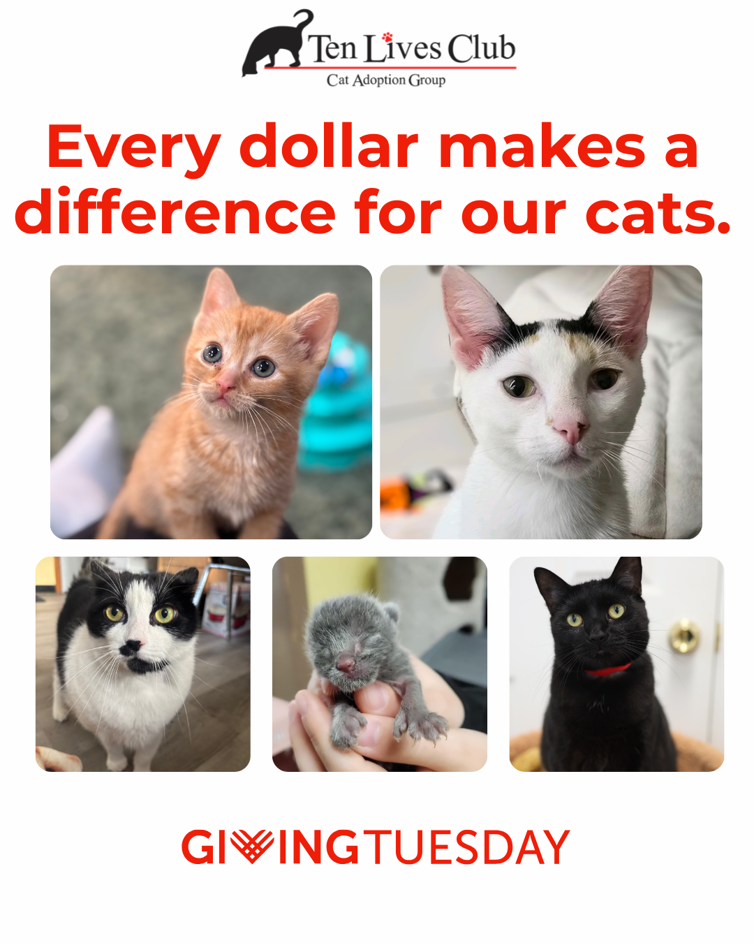 GIVING TUESDAY 2025 — HELP US SAVE LIVES image