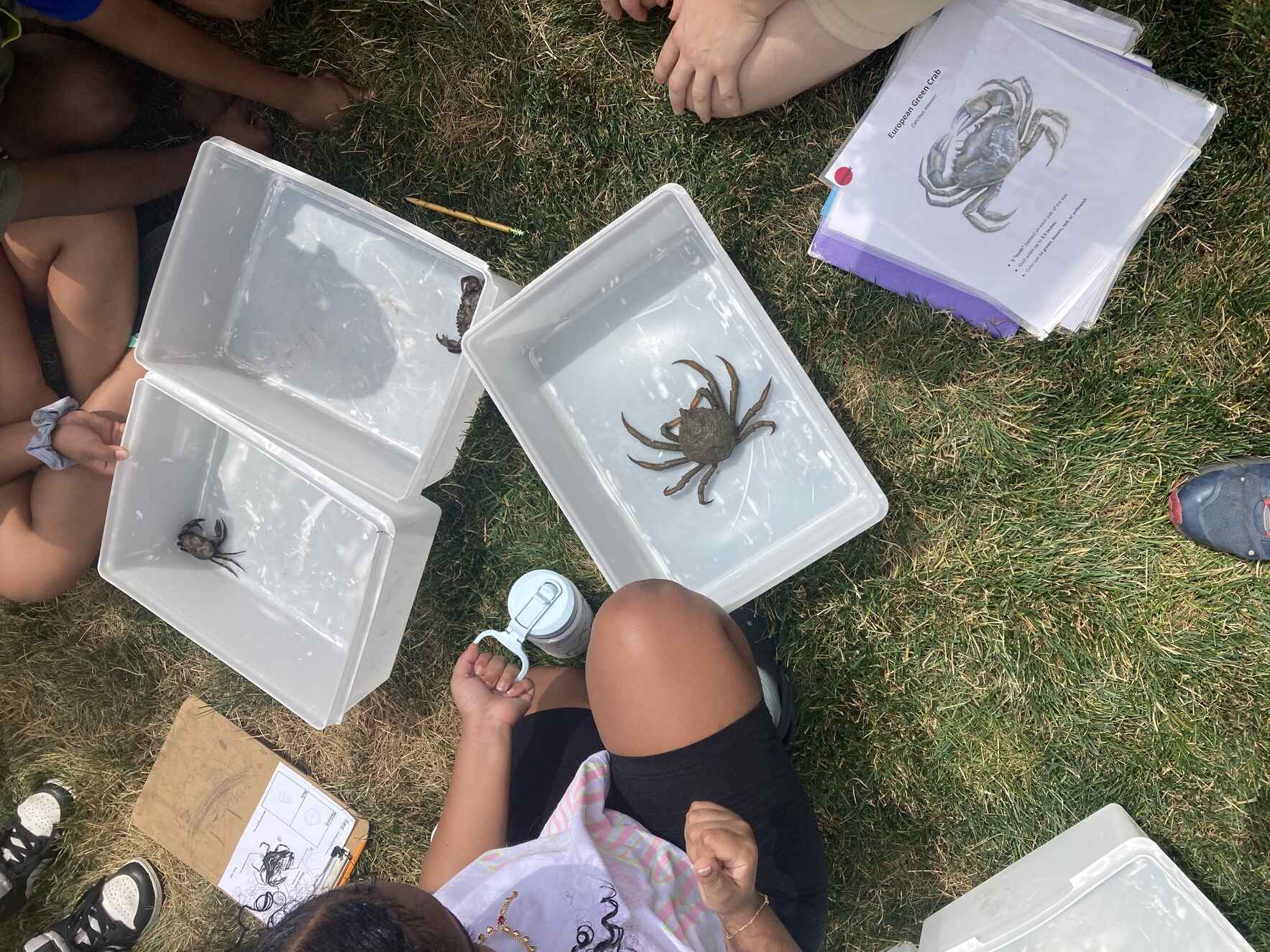 "e" inc - Science in Action - Delivering Science Programming across Boston and Cambridge image