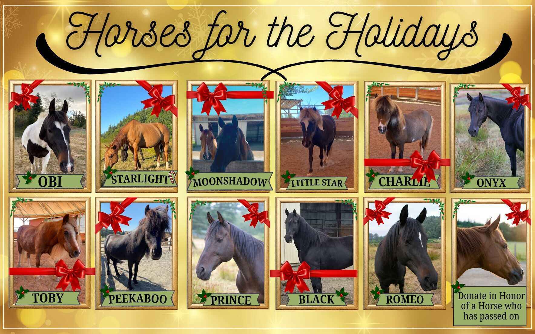 Horses for the Holiday  image