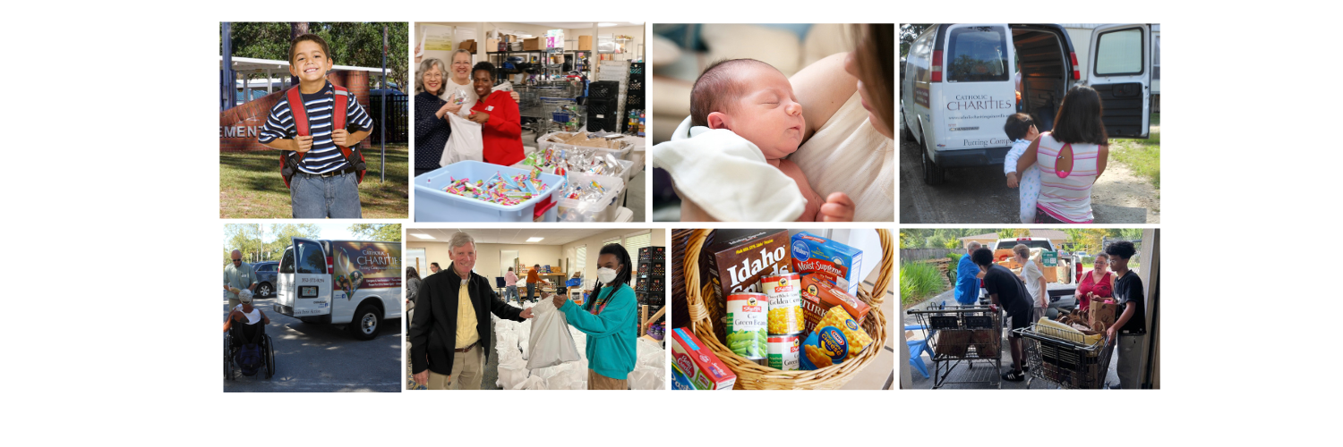 Catholic Charities Gainesville Regional Office offers a range of impactful human services. image