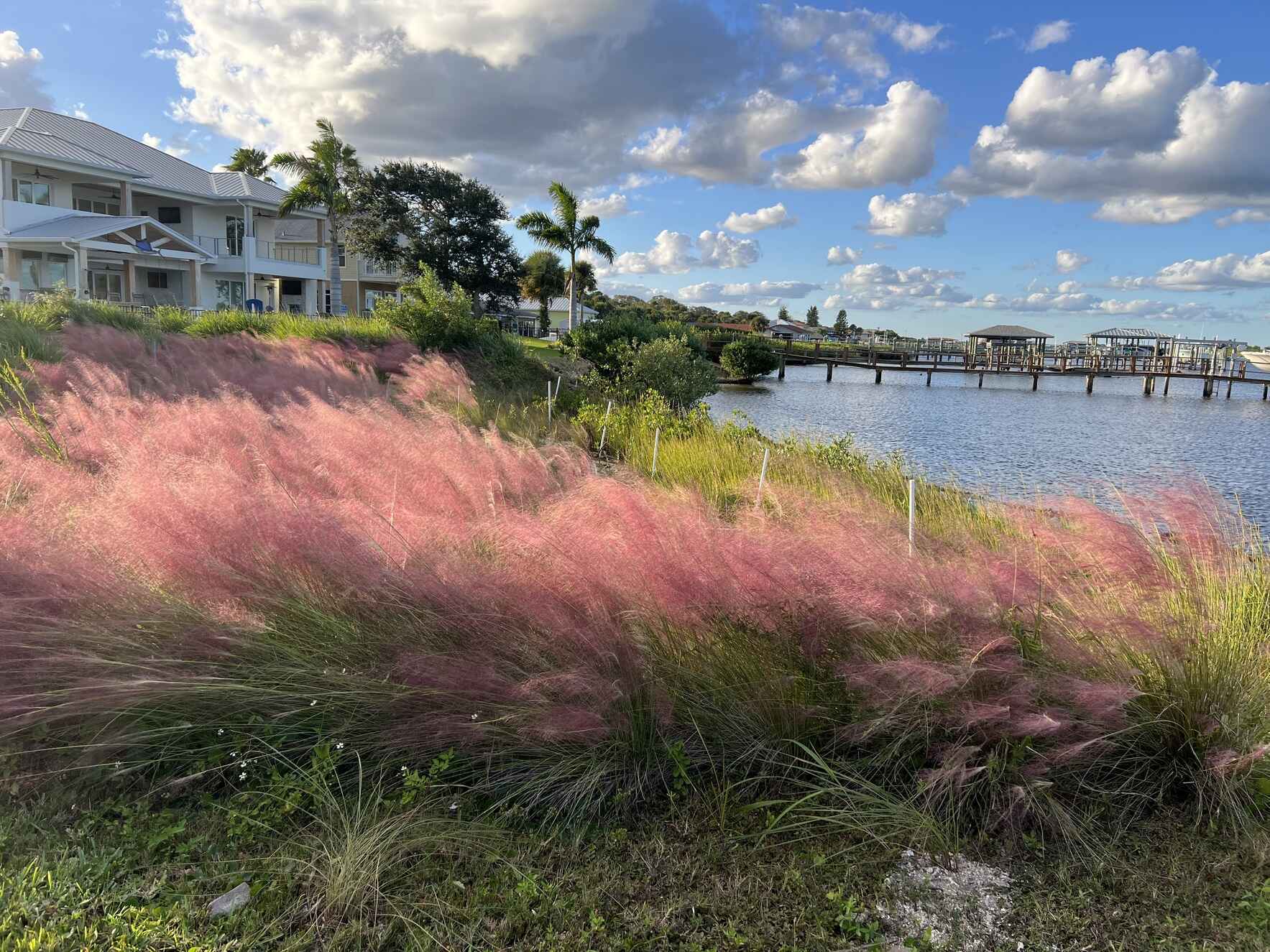 End-of-Year Campaign image