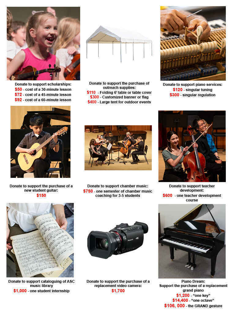 Thankful for your Suzuki Education?  "Play" it Forward! image