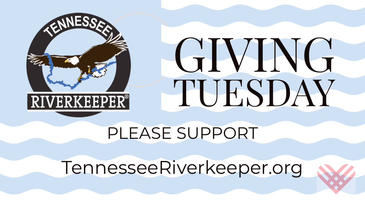 Giving Tuesday! image