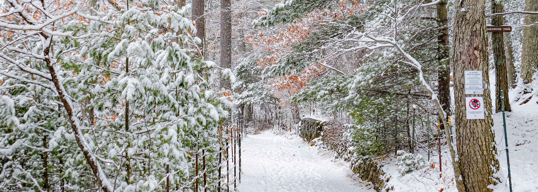 Help us keep Thoreau's legacy alive. image