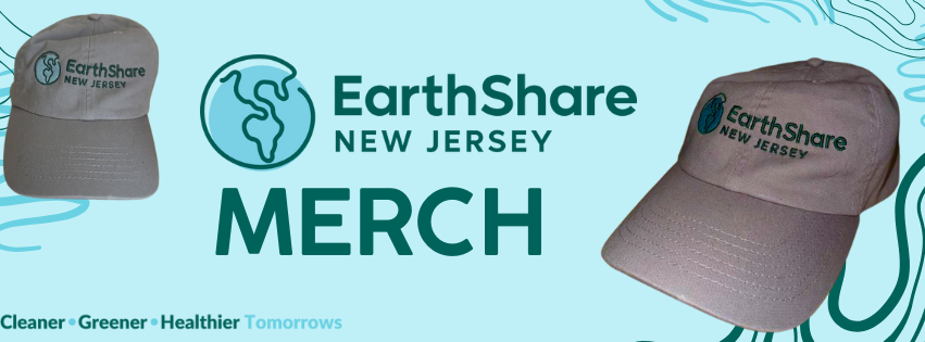 Support ESNJ with a Hat!  image