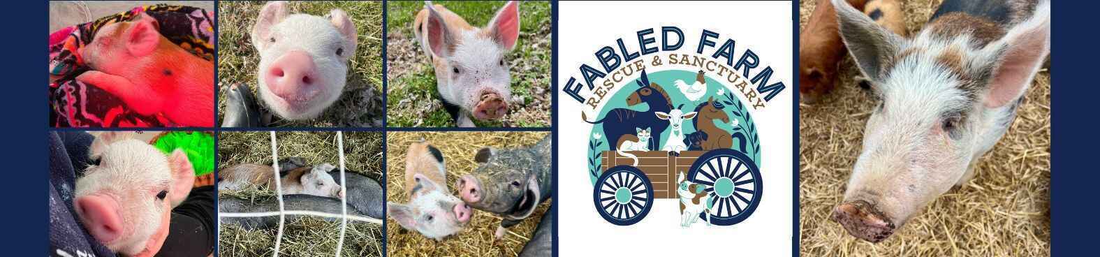 Emergency & Special Needs Medical Fund image