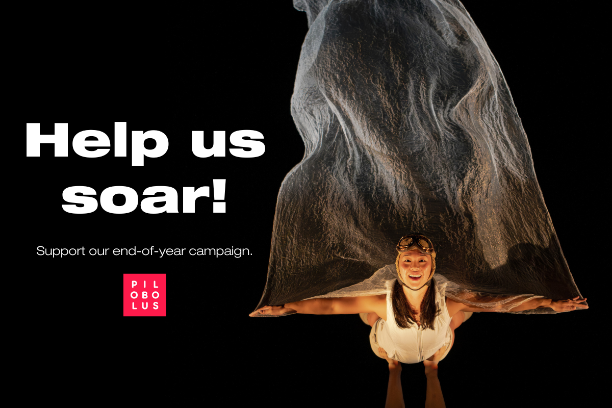 Support Pilobolus's End-of-Year Campaign! image
