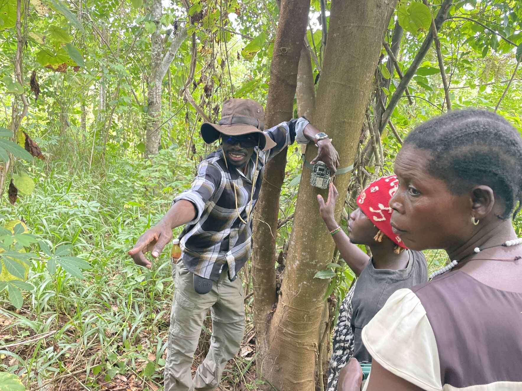 Seeking Sassi’s Greenbul and Chestnut Owlet in Uganda’s Semuliki National Park image
