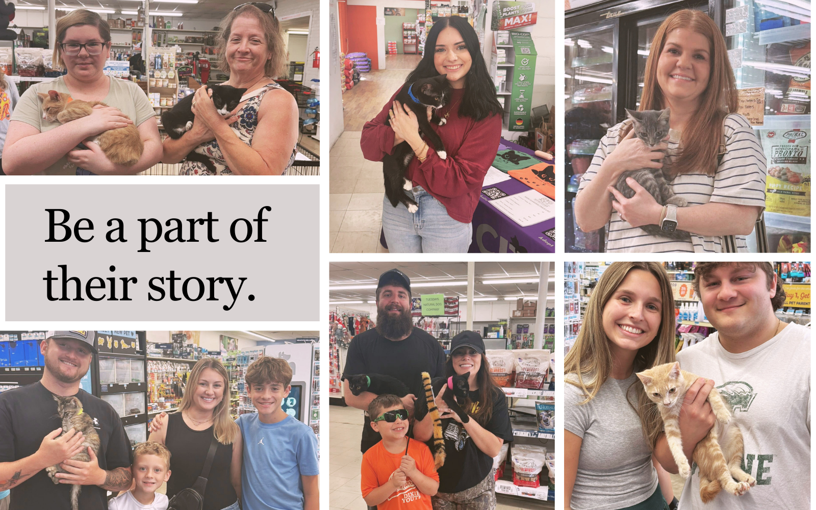 Partner With Us to Boost Cat Adoptions in Our Community image