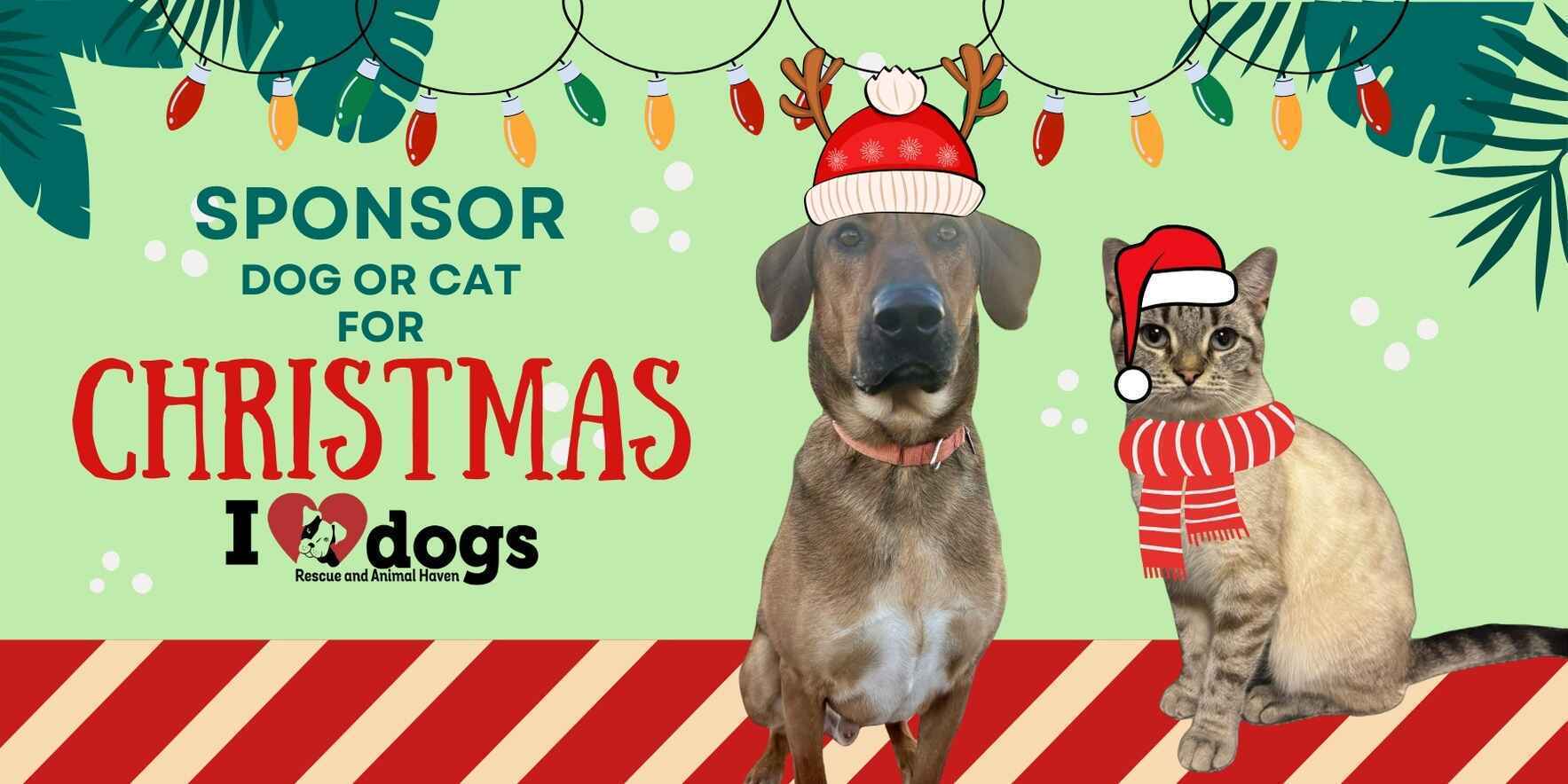 Can't adopt? Looking for a gift to give? How about sponsoring a pet for the holidays? image