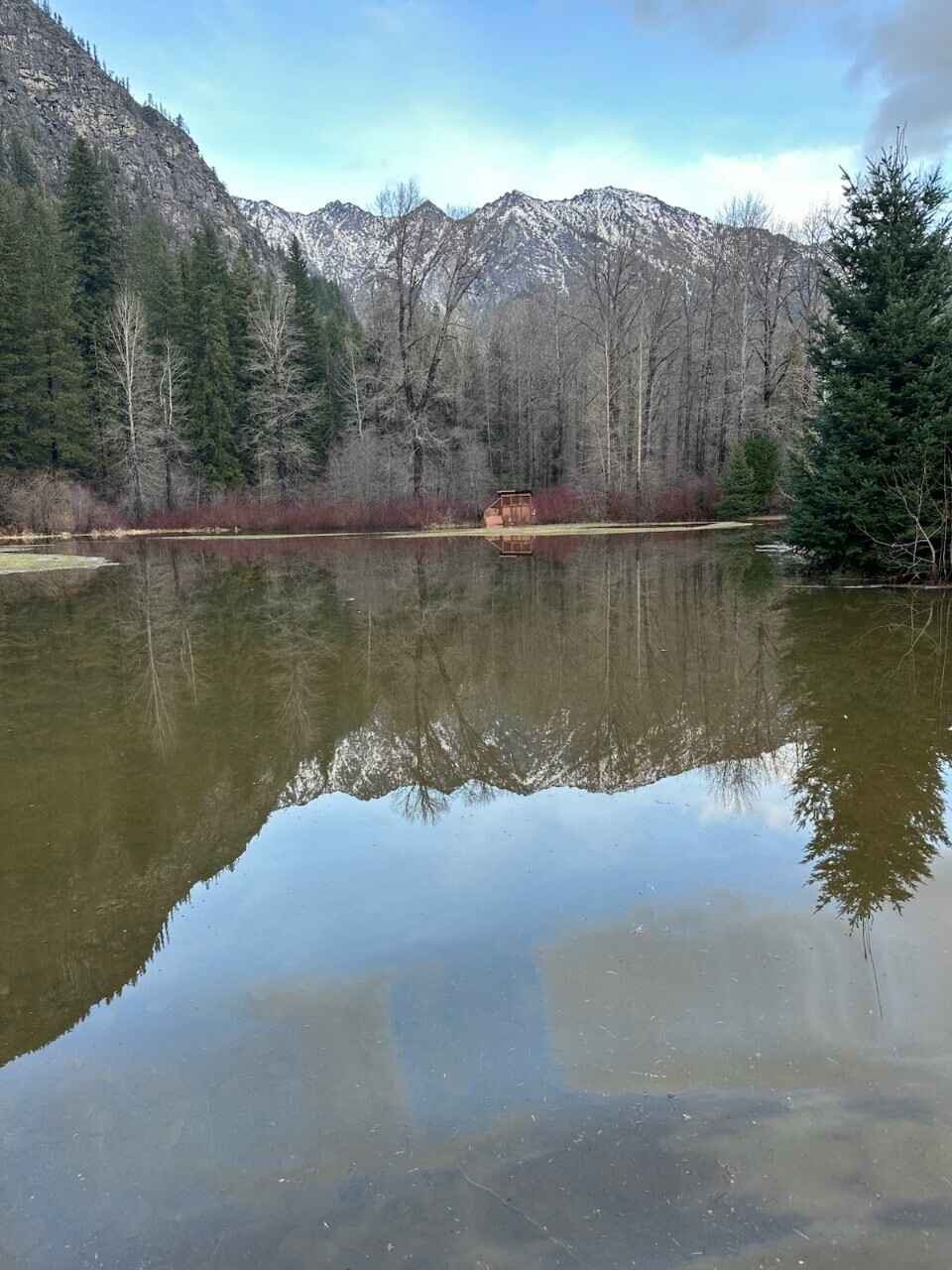 Help cover emergency flood damage costs at Tall Timber image