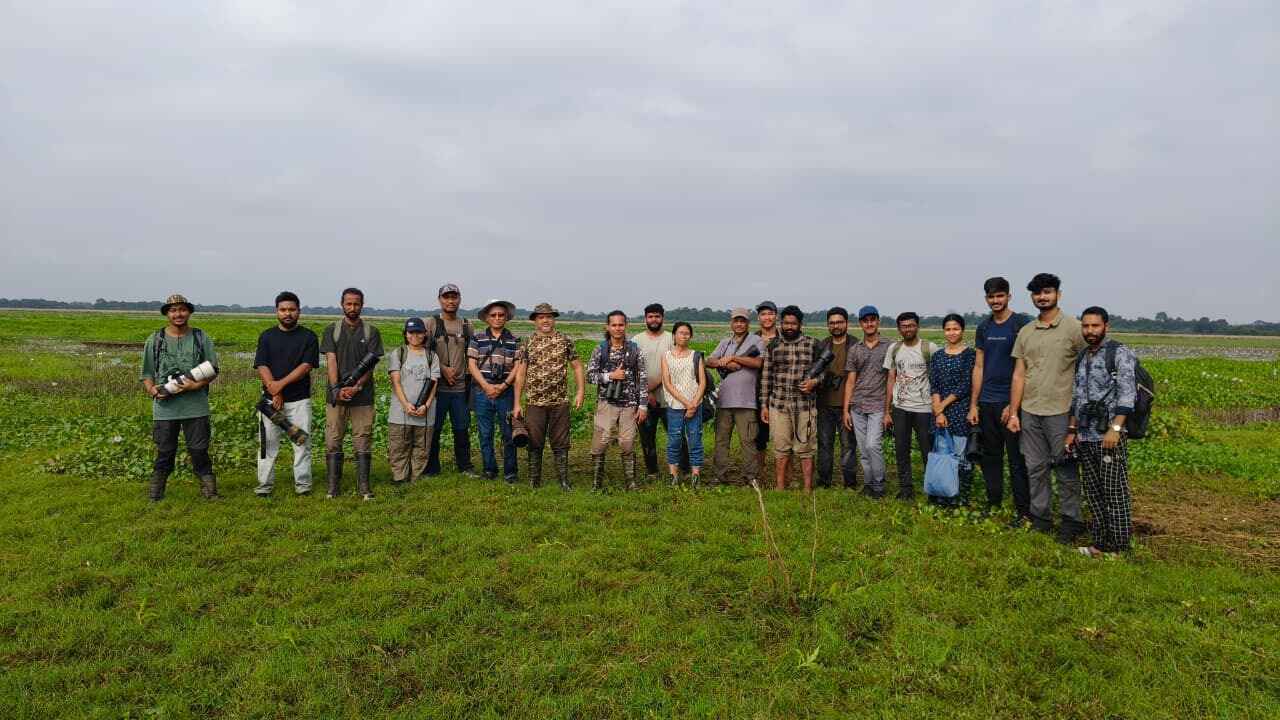 Search for the Manipur Bush-Quail image