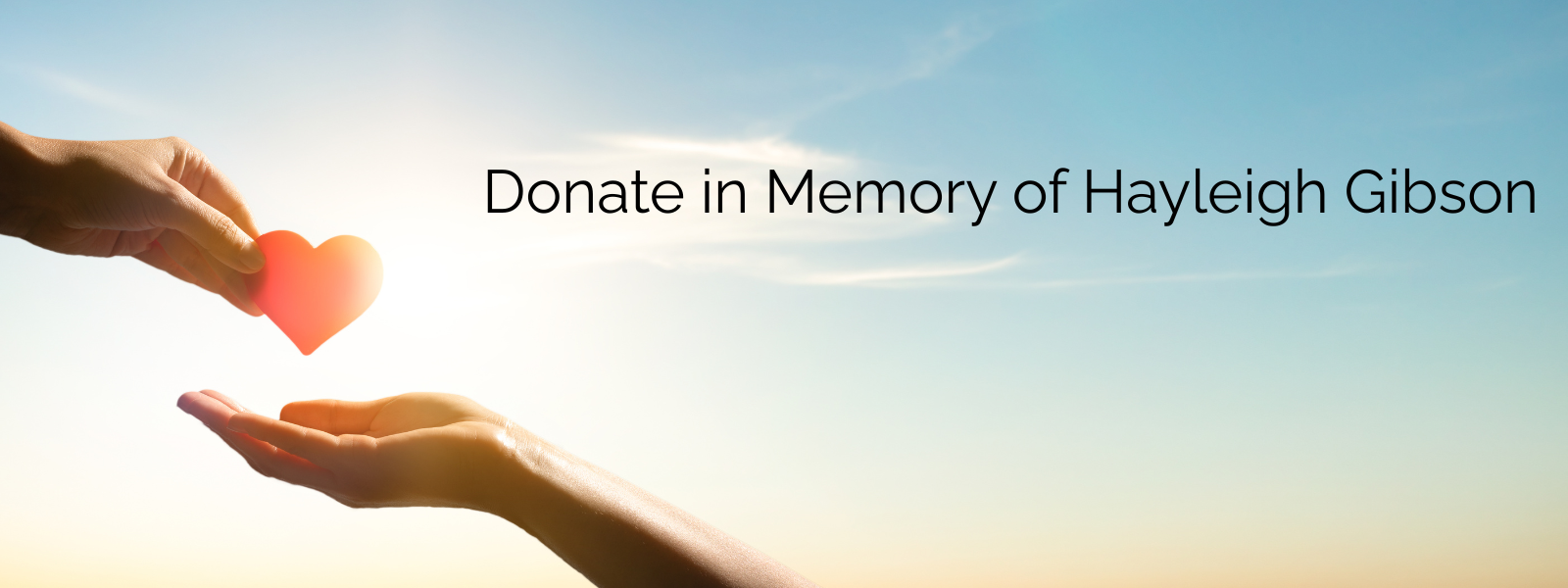 Donate in Memory of Hayleigh Gibson image