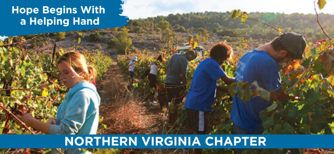 Hope Begins with a Helping Hand image