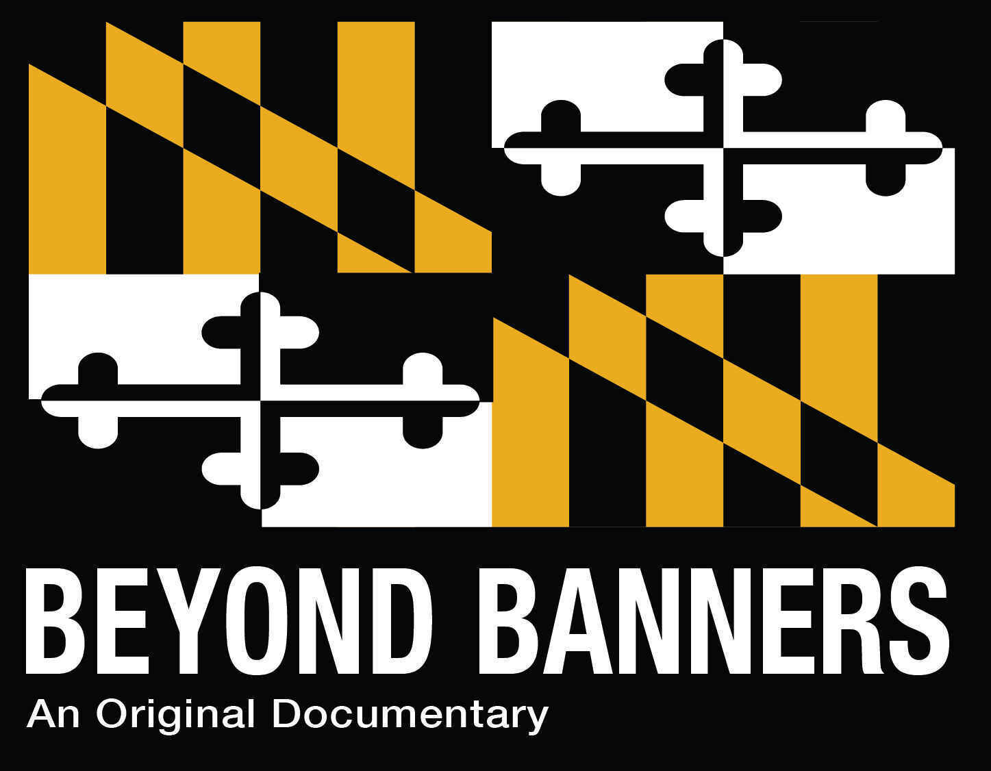 Beyond Banners: The Weight Of A Forgotten Legacy image