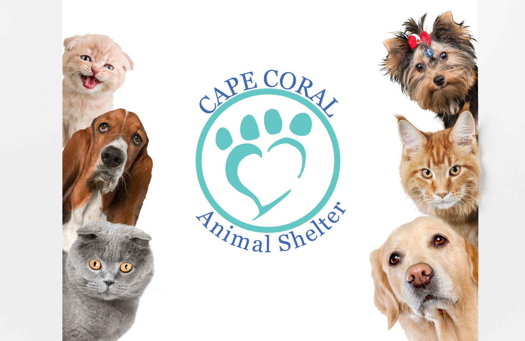 Help Bring New Hope to Homeless Animals image