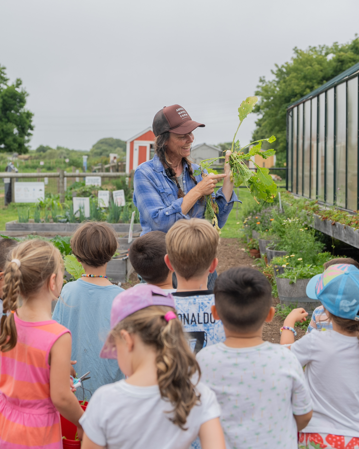 Make Your Donation Today image