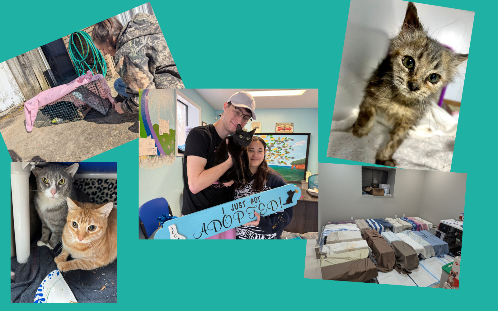 Help Us Change the Rules — and Save Lives image