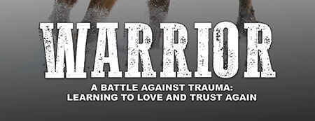 Streaming free for a limited time: Warrior - scroll down image