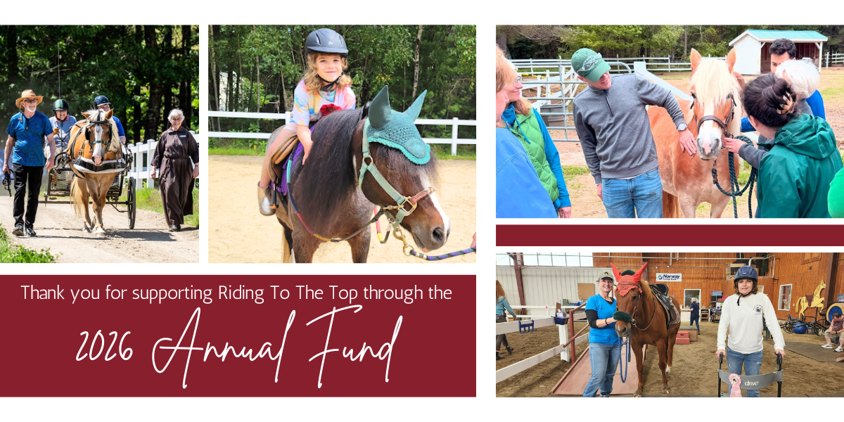 CHANGING LIVES THROUGH THE HEALING POWER OF HORSES image