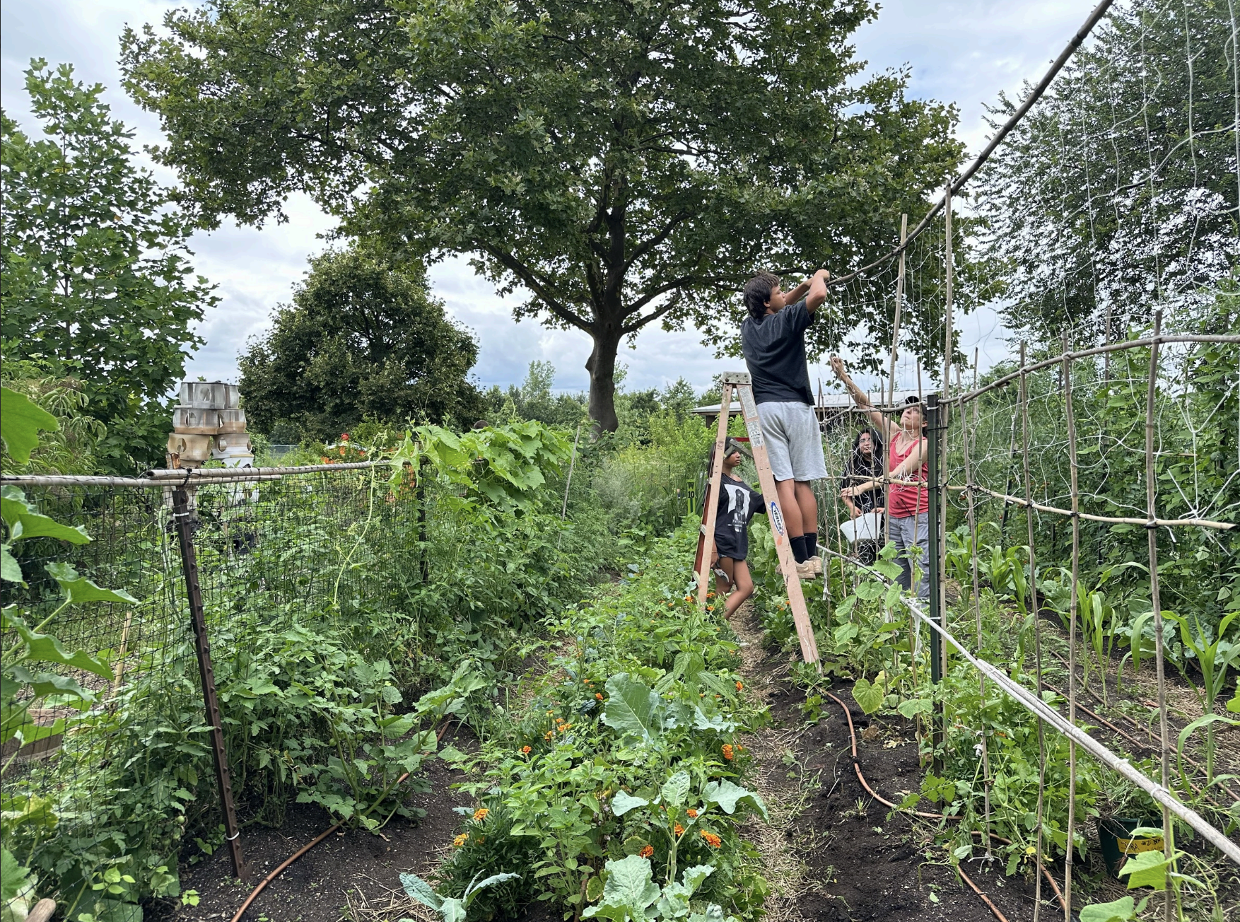 Support Earth Matter's programs! image