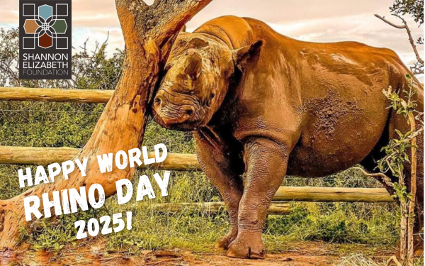 World Rhino Day 2025 image