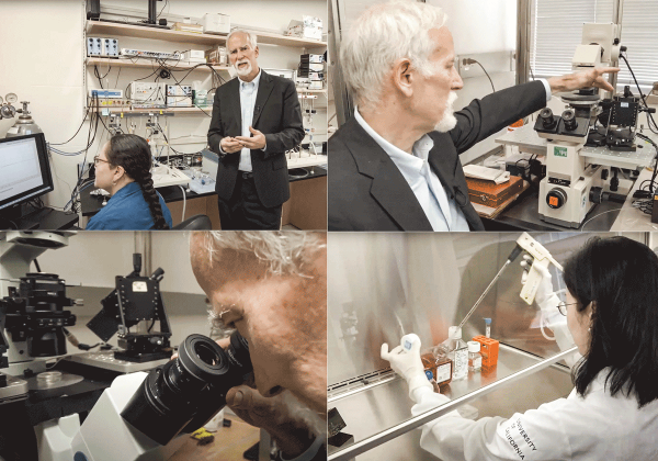 Be the spark that Powers Progress: Support Dr. Cannon’s Periodic Paralysis Research image