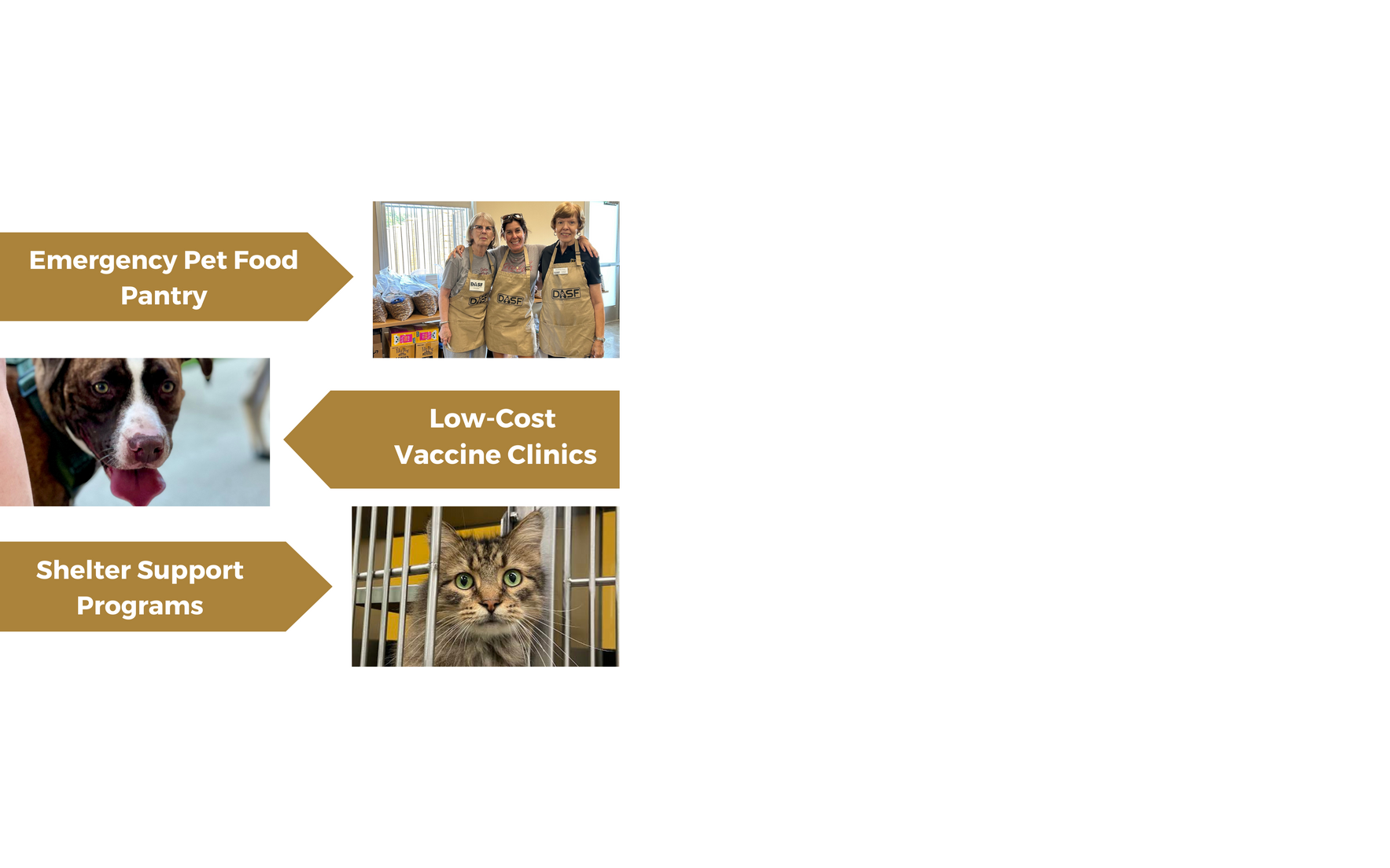 Make a Donation image