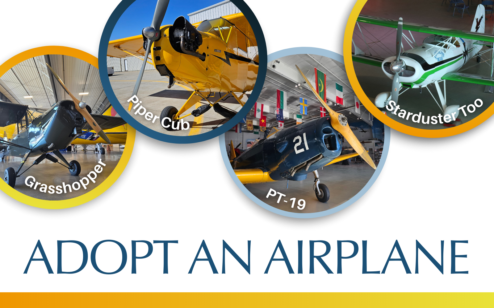 Adopt today to help keep history soaring! image