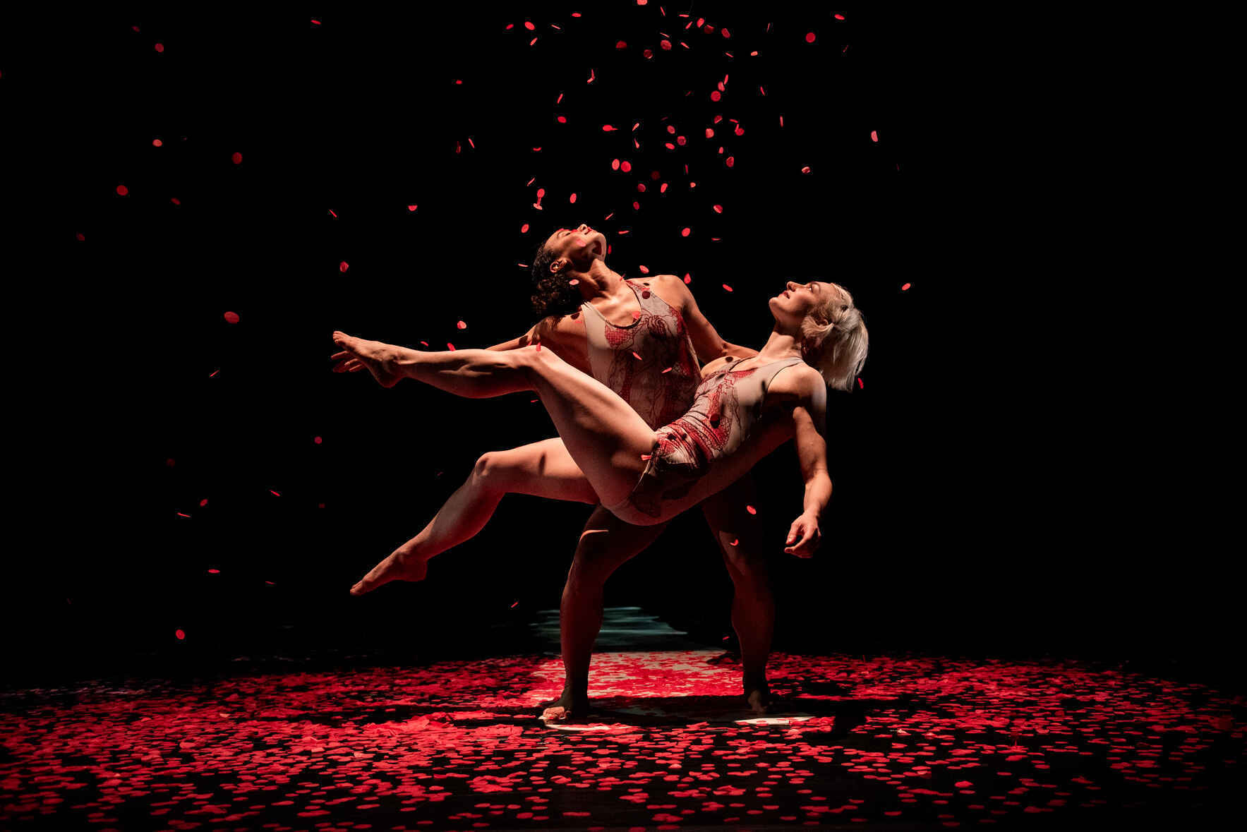 Support Pilobolus Today! image