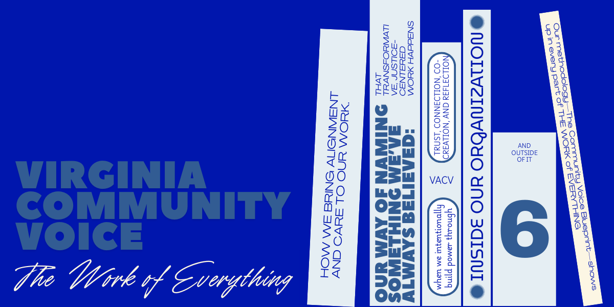 Invest in Virginia Community Voice image