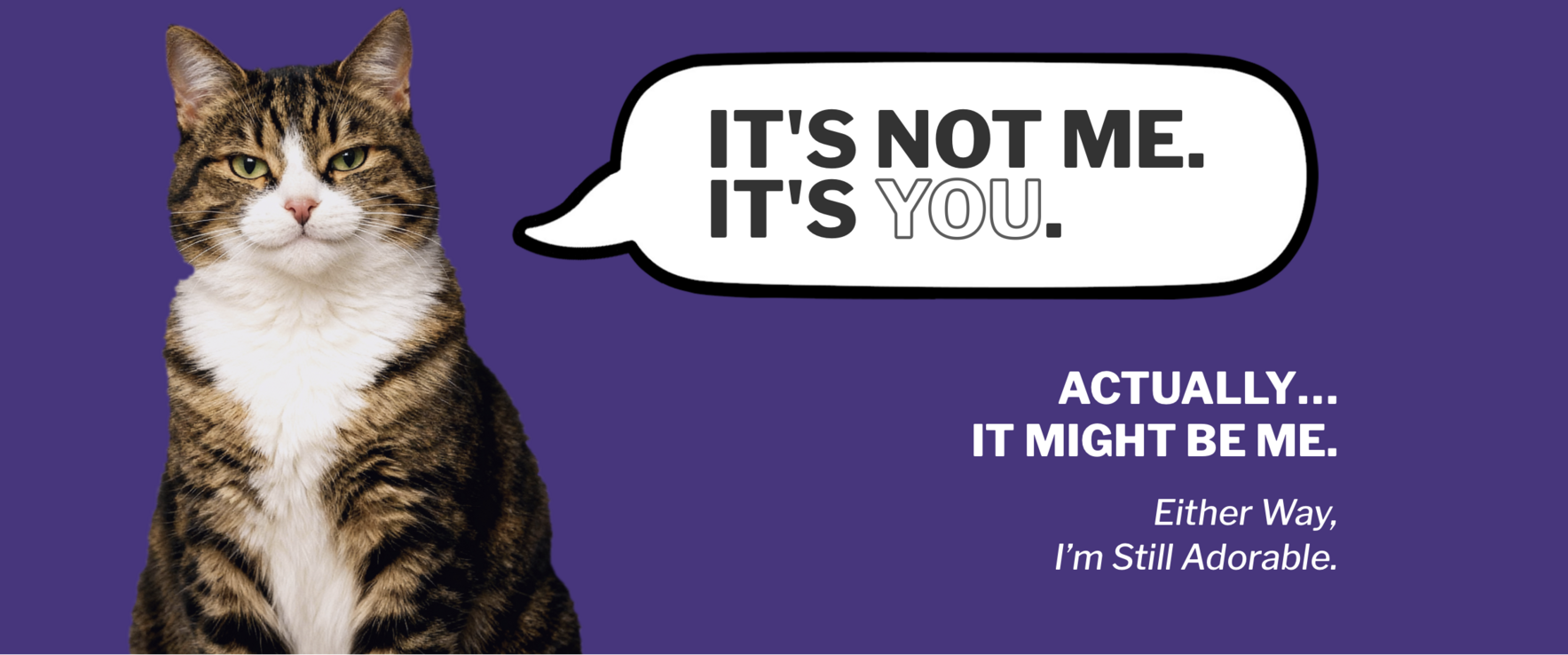 It’s Not Me. It’s You. image
