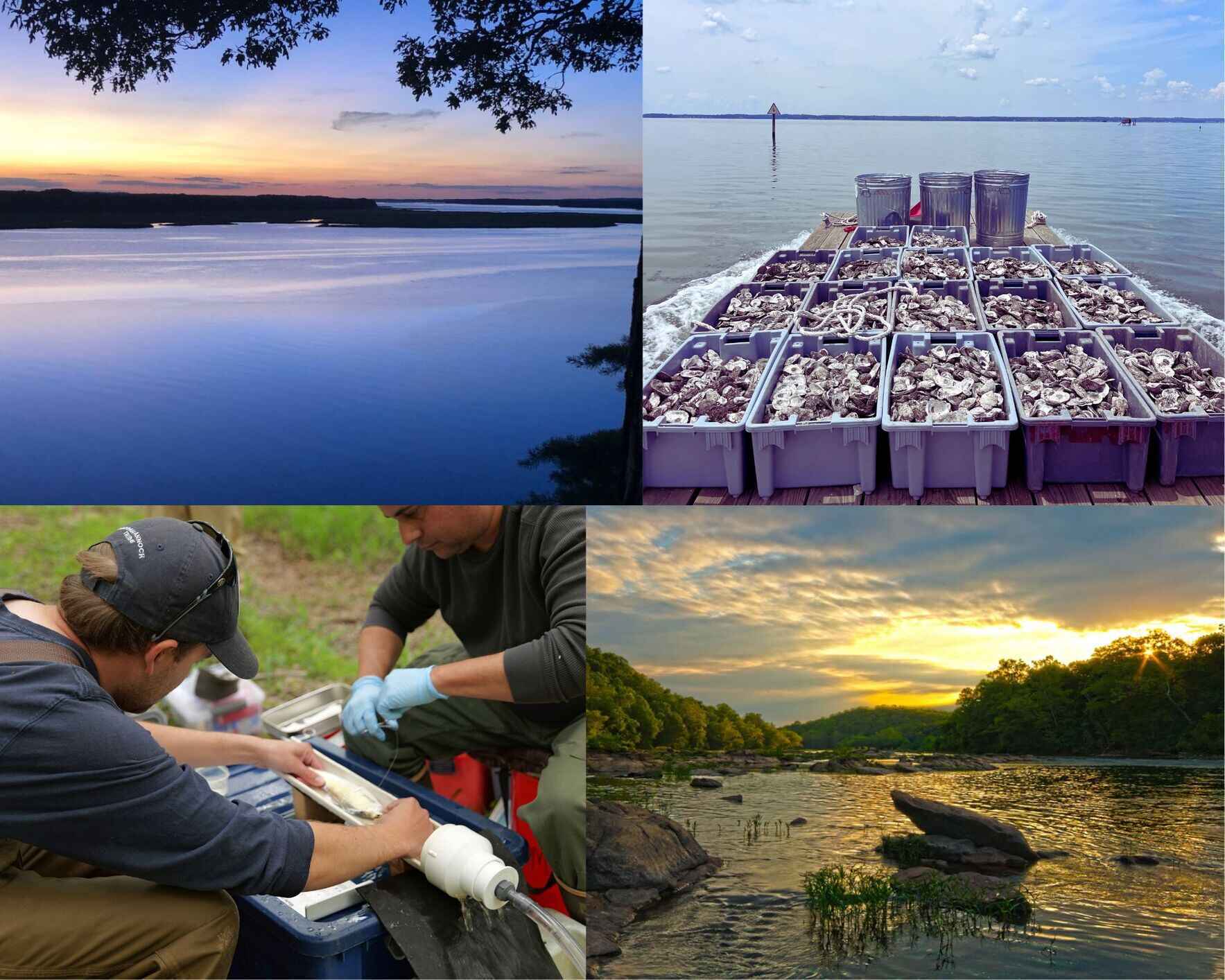 Return to the River: Protecting Our Ancestral Lands and Waters  image