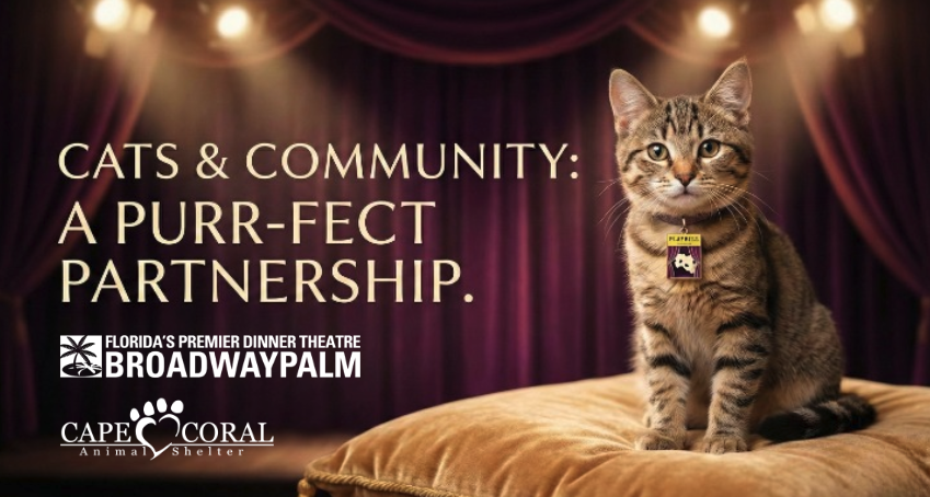 From Broadway to the Shelter, Every PAW Matters image