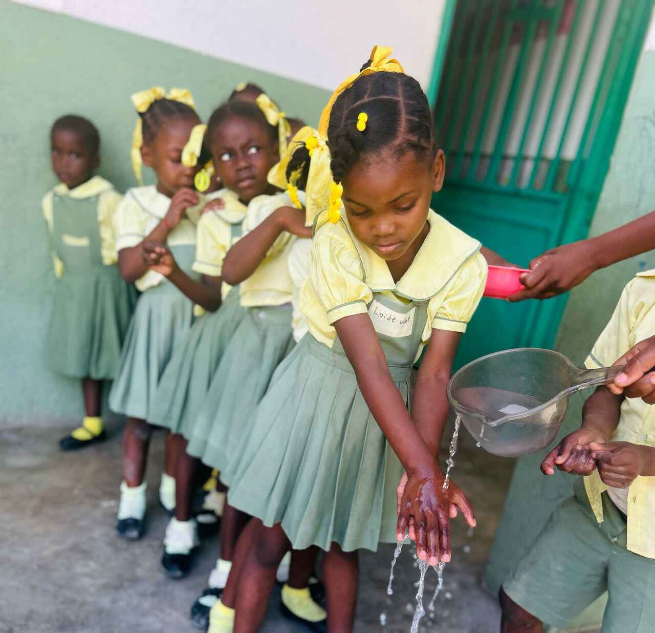 St. Dominique Sustainers  image