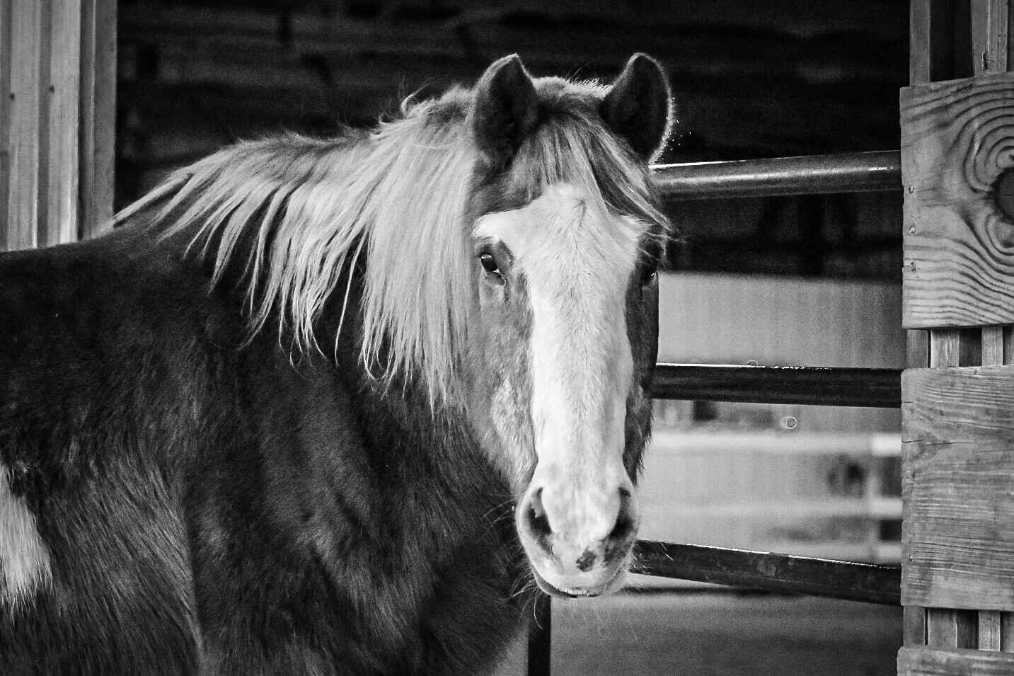 Saying goodbye to Aussie image