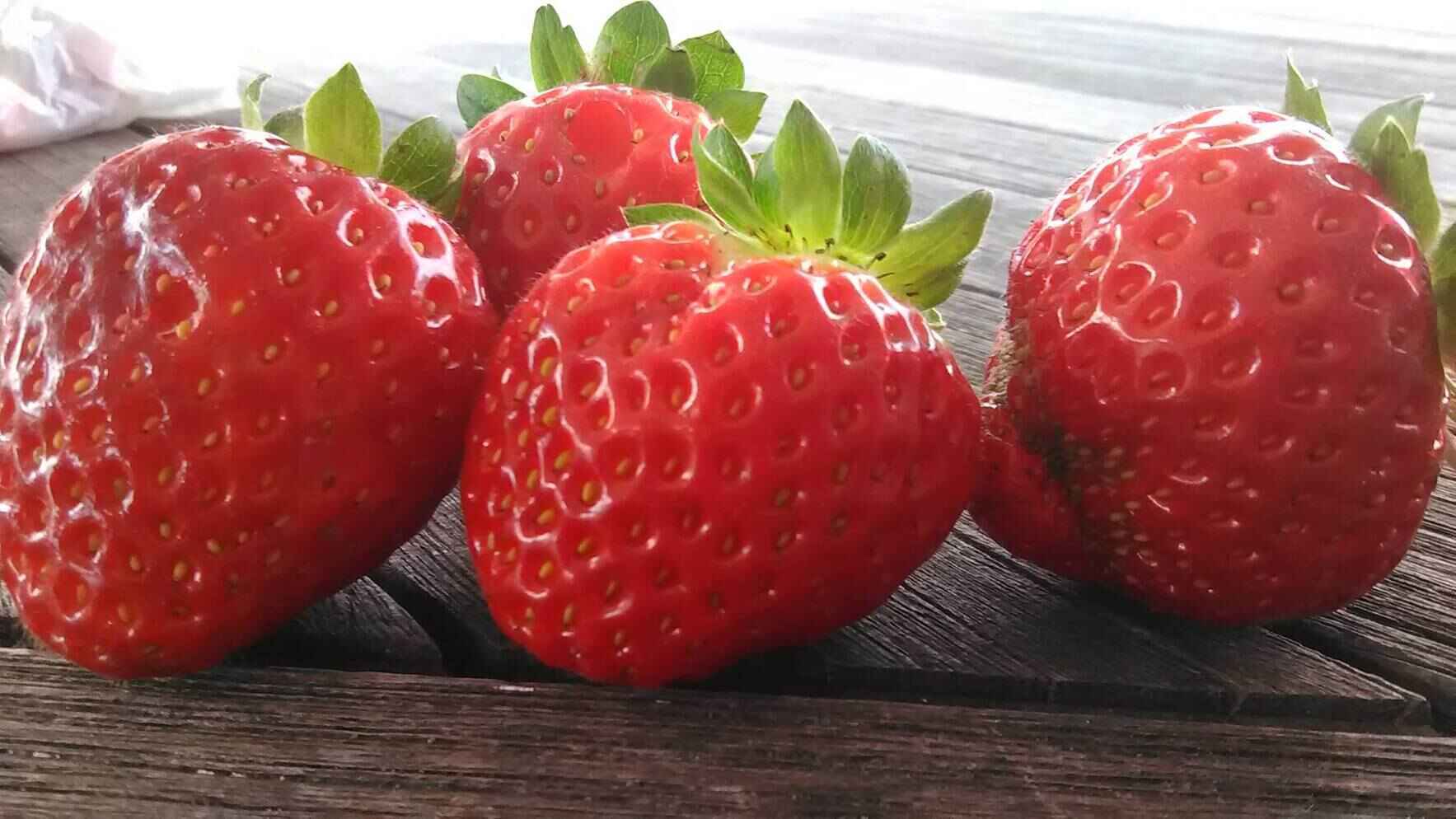 Grow-a-Row for 54220! Help Provide 9,000 lbs. of Fresh Produce for Our Neighbors in Need! image