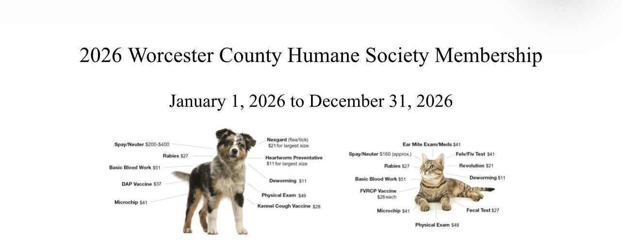 Become a member and take an active part in this organization. image