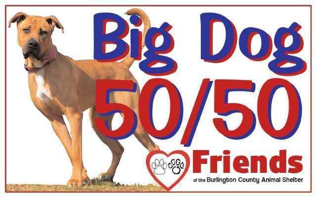 Try Your Luck, Help Homeless Animals image