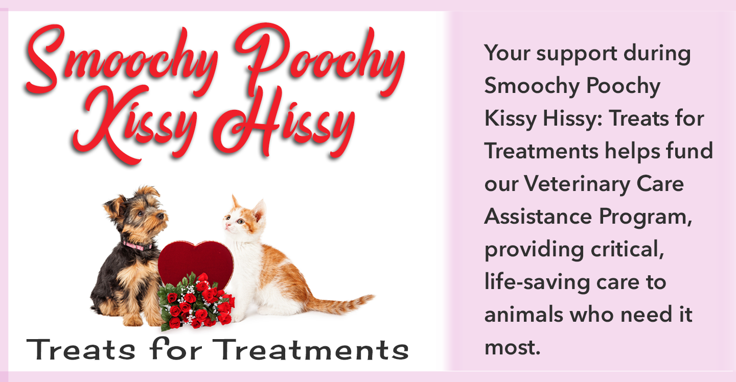 Smoochy Poochy Kissy Hissy: Treats for Treatments image