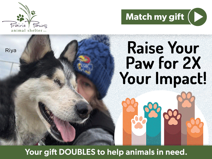 Make 2X the Paw-sitive Impact Thanks to Hill's Pet Nutrition! image