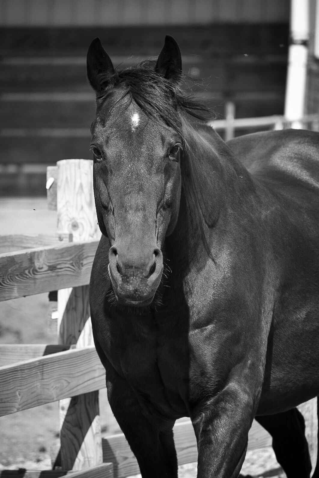 We will miss you, Links image