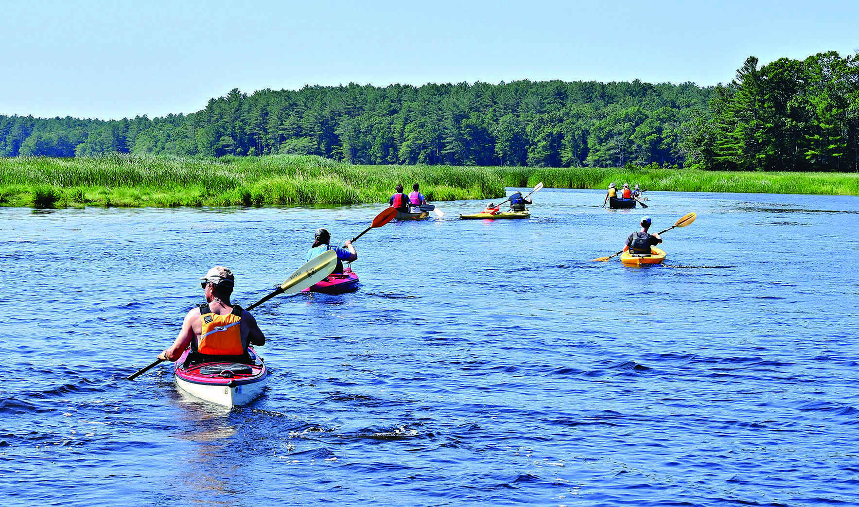 Support Healthy Waters in Our Shared Communities! image