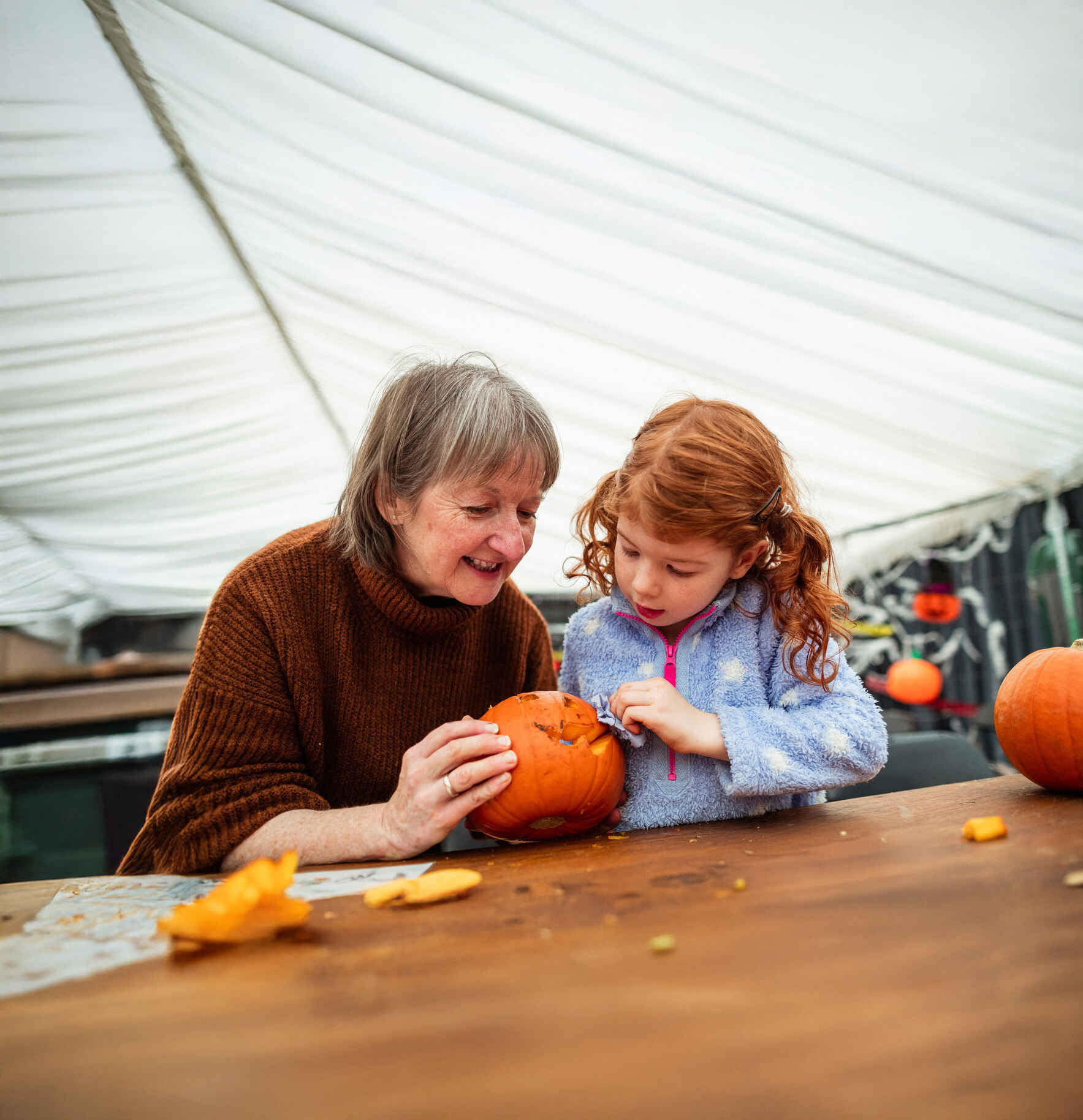 Give today to bring peace, comfort, and joyful experiences to the patients and families of Emmanuel Hospice image